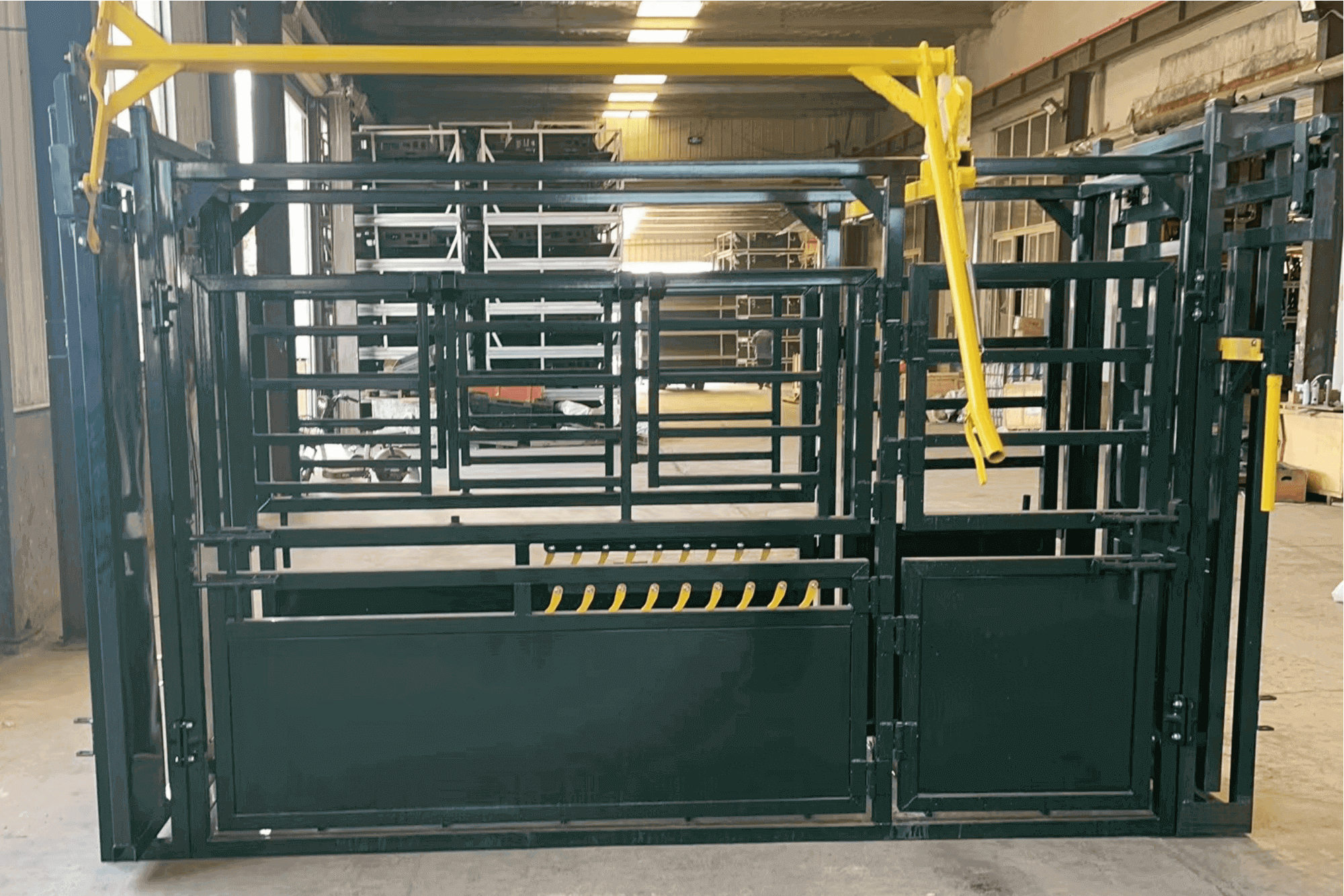Cattle Squeeze Chute Manual Headgate