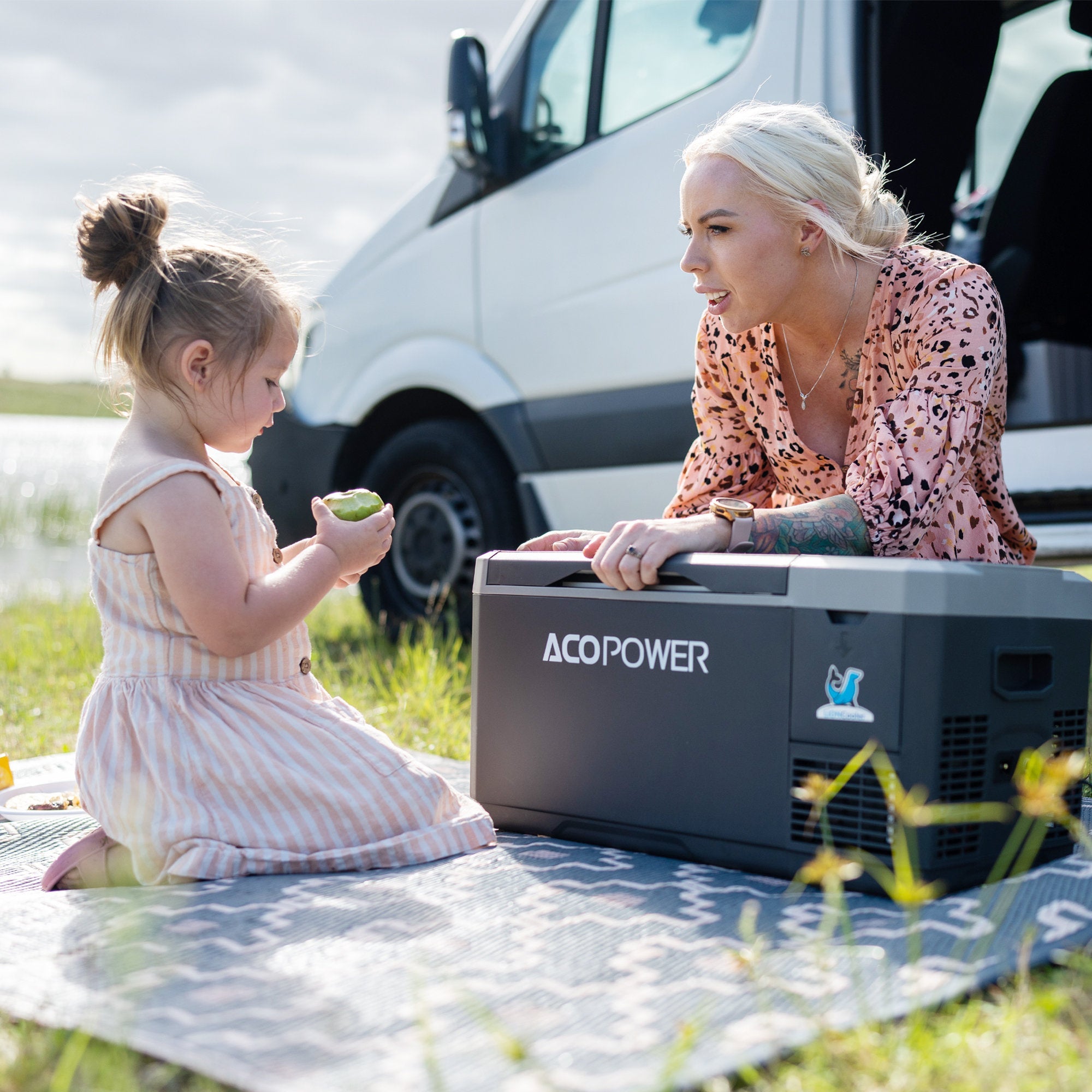 LionCooler Mini Solar Powered Car Fridge Freezer, 29 Quarts