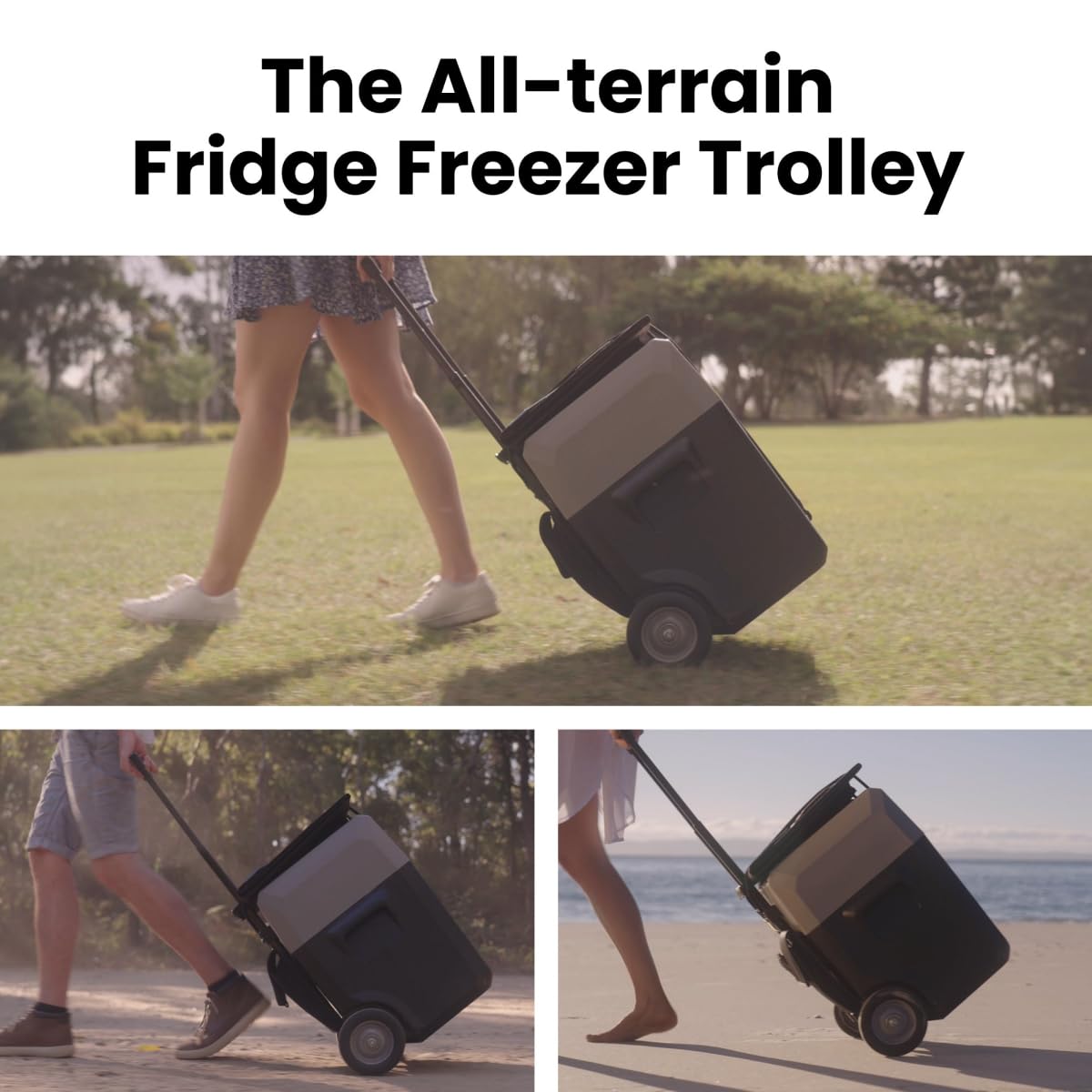 Unused LionCooler Fridge Freezer, 32 Quarts, no battery (MSRP: $498)